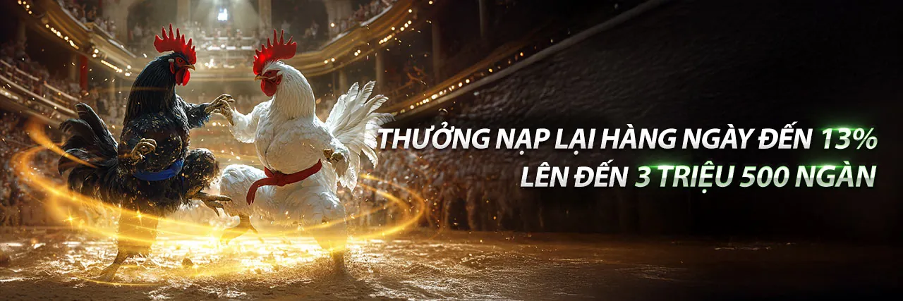 Giao diện ứng dụng F088 Nhà Cái trên điện thoại